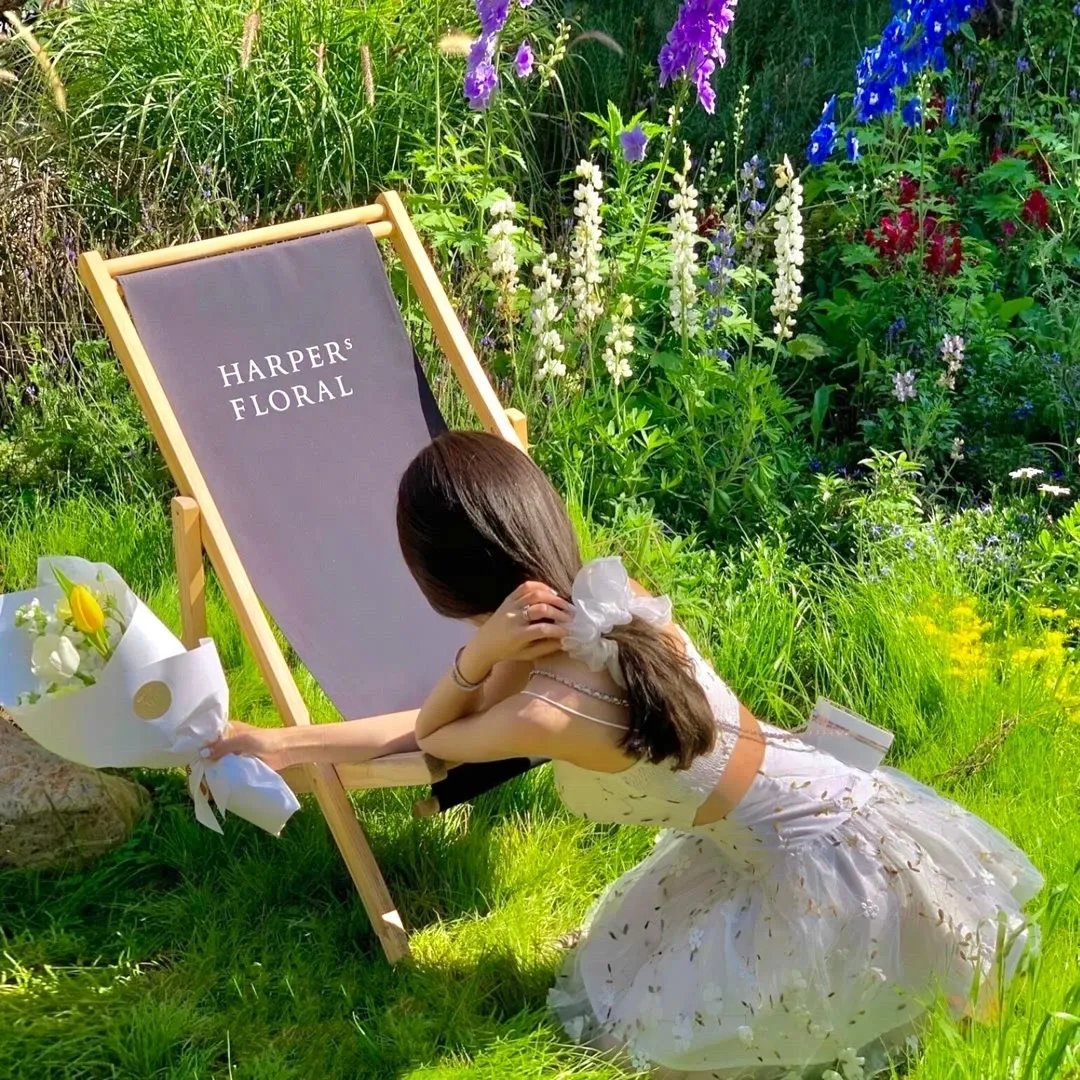 穿越仙界大陆，群星正雄开始