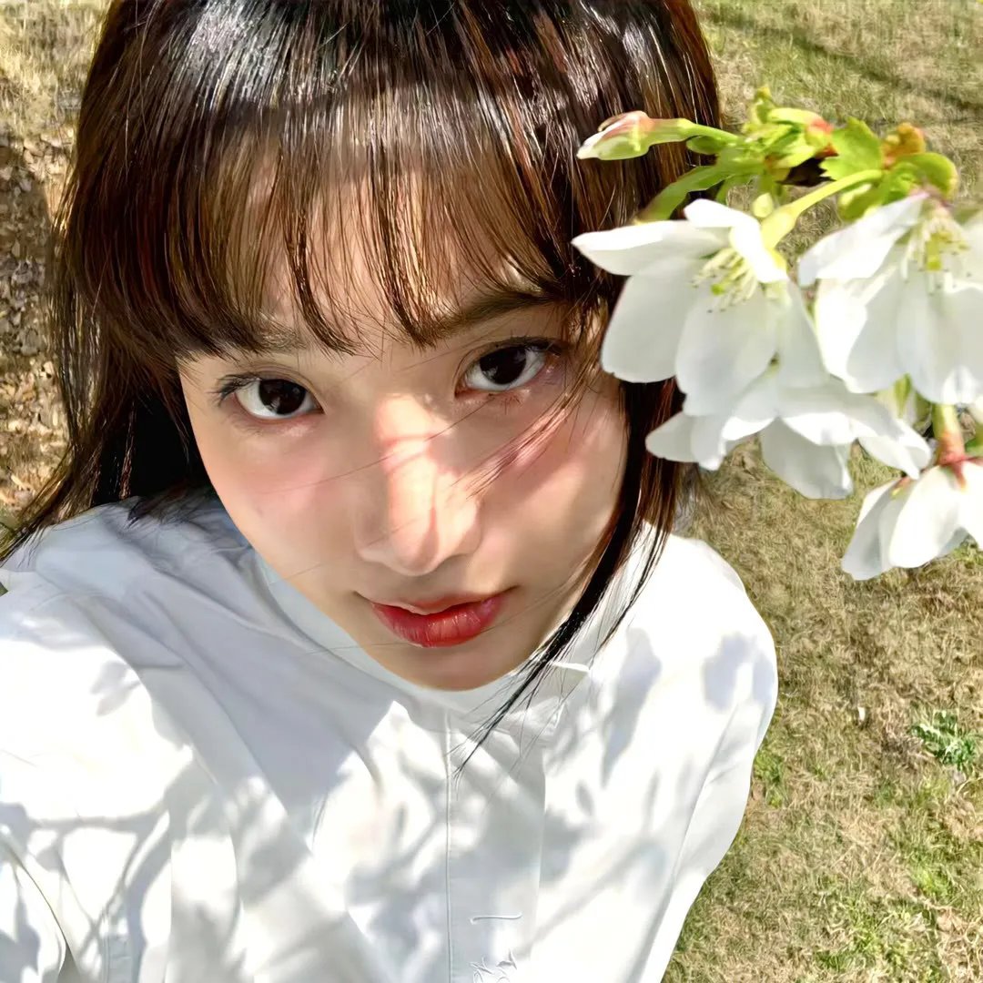 我的英雄学院第六季